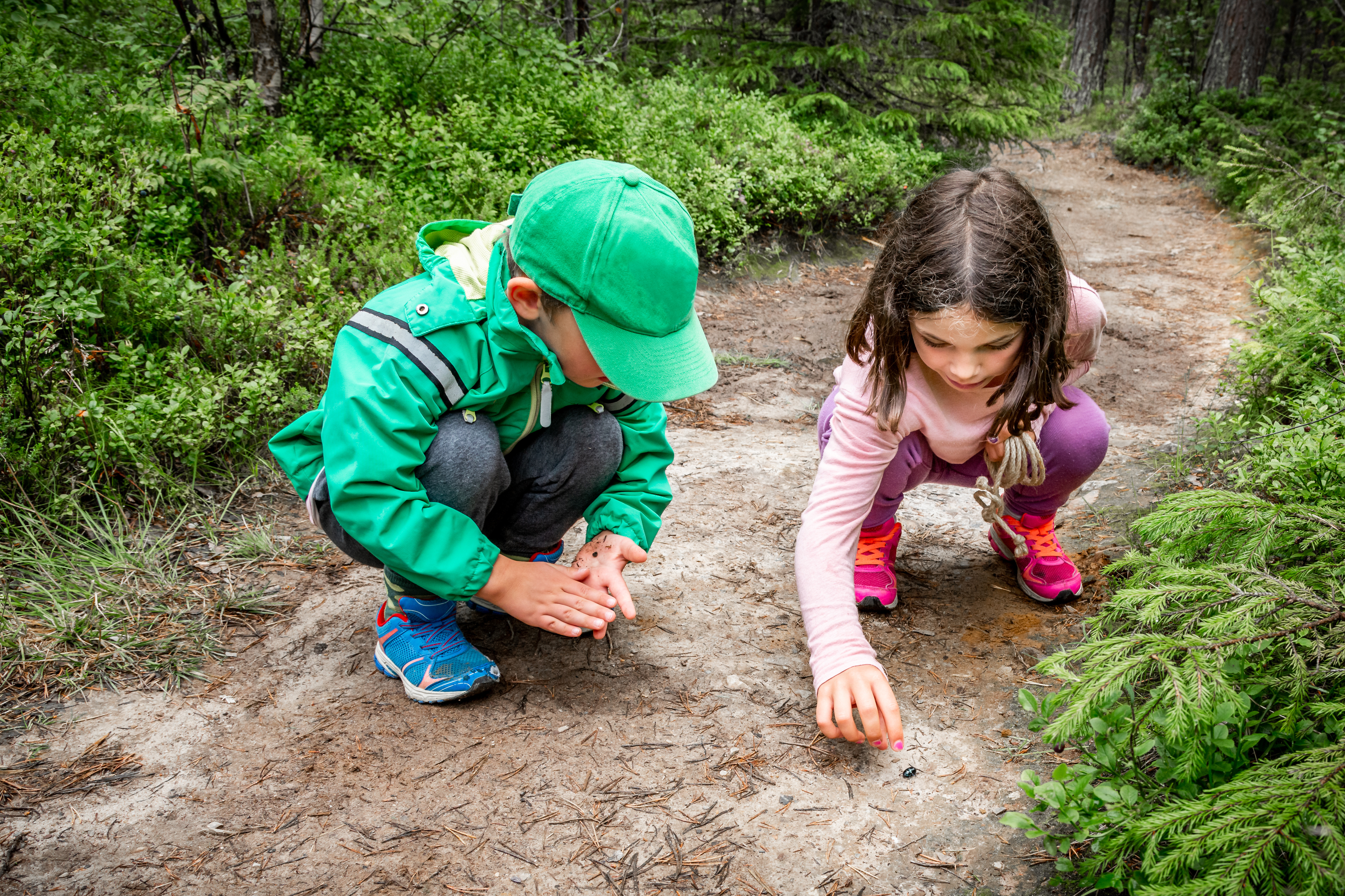 Two children crouched on a forest trail, closely examining a small insect on the ground